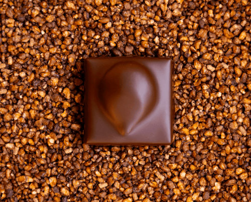 Coffret 29 pièces chocolats d'automne